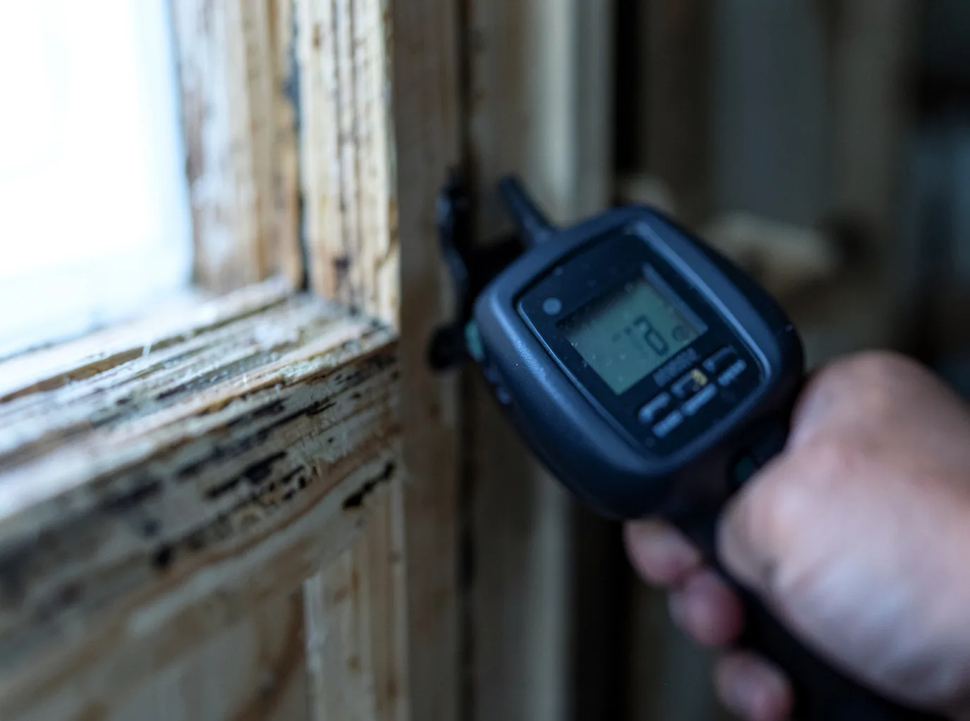 Moisture Inspection And Documentation in Kimballton, IA